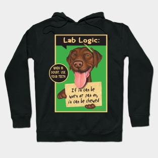 Great Chocolate lab on Chocolate Labrador with Green Pencil tee Hoodie